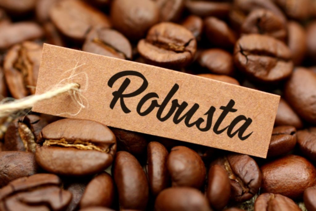 Cà phê Robusta