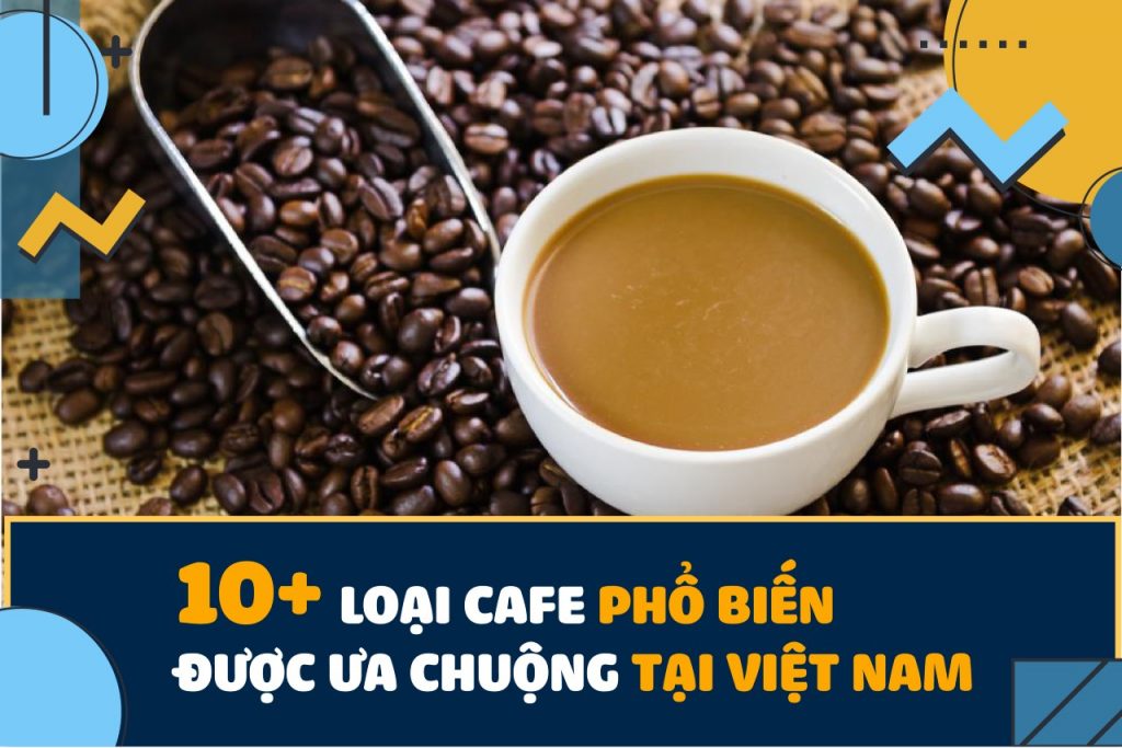 Điểm danh 20 loại cafe phổ biến được ưa chuộng tại Việt Nam
