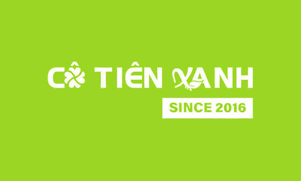 Giặt sấy Cô Tiên Xanh